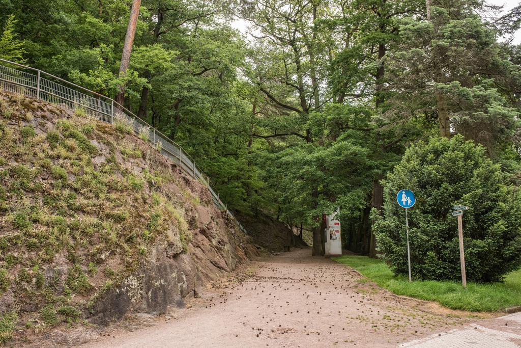Loftwohnung Mit Sauna - Natur Und Kultur In Eisenach Erleben Und Geniessen Exterior foto